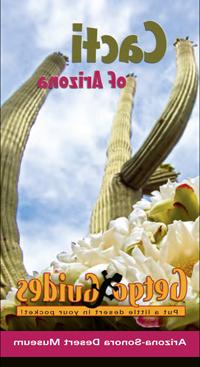 封面——亚利桑那州的仙人掌